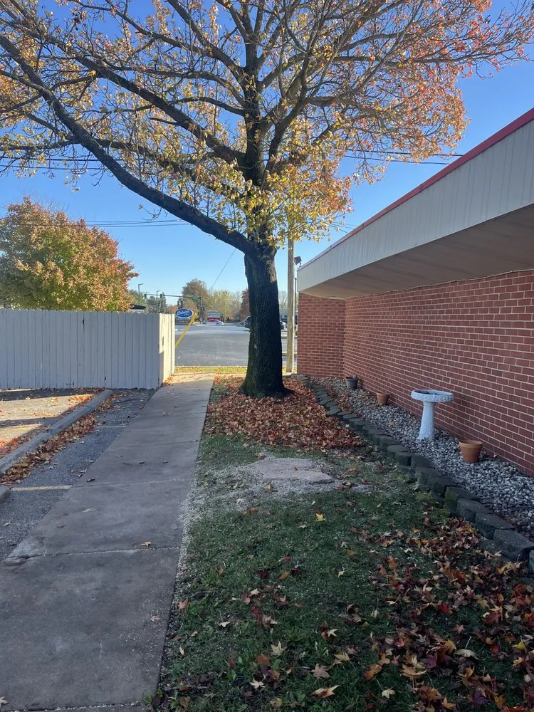 Trusted yard cleanup service in Caseyville, IL by A&K Outdoor Services