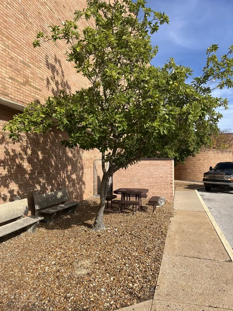 Reliable yard maintenance in Caseyville, IL - A&K Outdoor Services