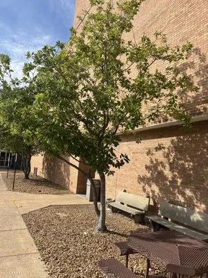 A&K Outdoor Services