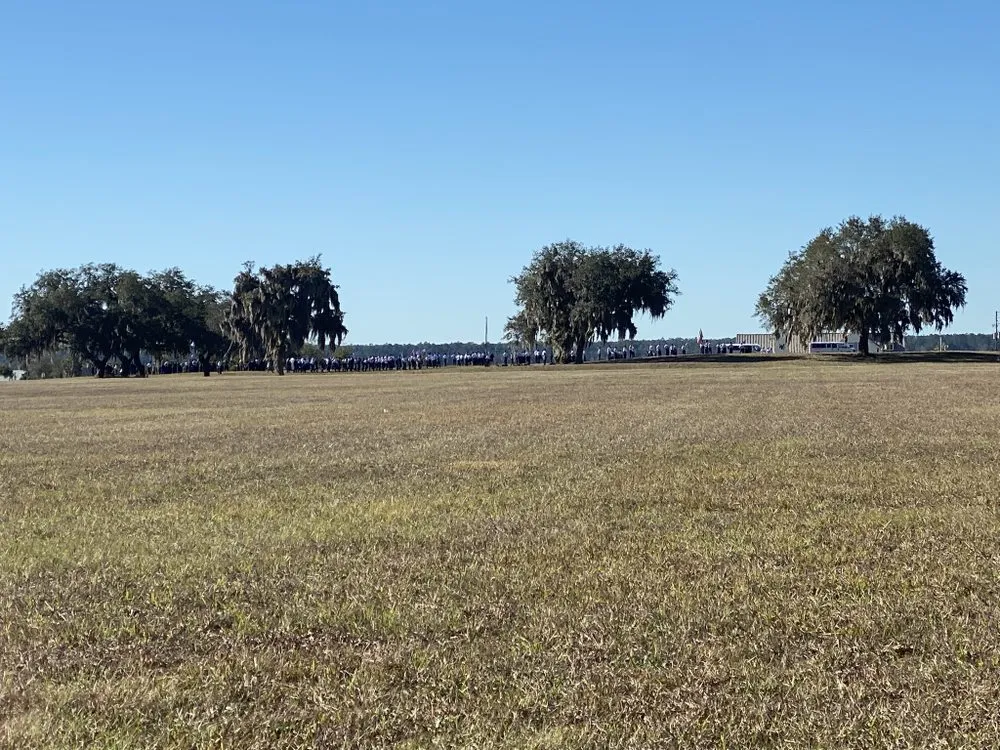 Custom landscape installation experts serving Leesburg, FL - AK Pro Lawn Care