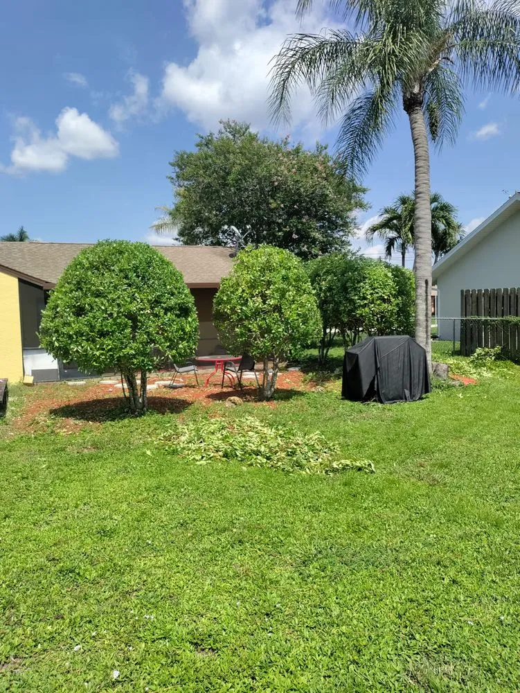 Professional landscape installation in Lehigh Acres, FL - AK Property Maintenance, Lawn Care, Landscaping and Tree Service