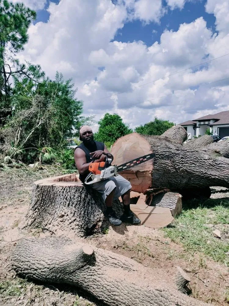 Reliable landscape design for homes in Lehigh Acres, FL by AK Property Maintenance, Lawn Care, Landscaping and Tree Service