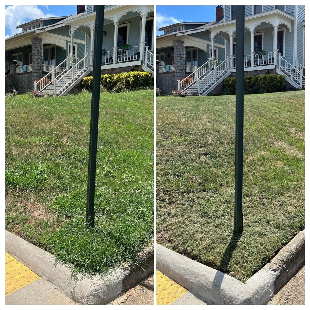 Trusted landscape installation in Jacksonville, AR - A&K Quality Services