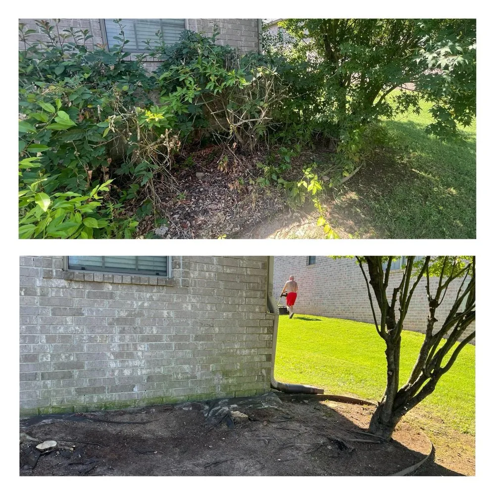 Top-rated landscape design experts serving Jacksonville, AR - A&K Quality Services