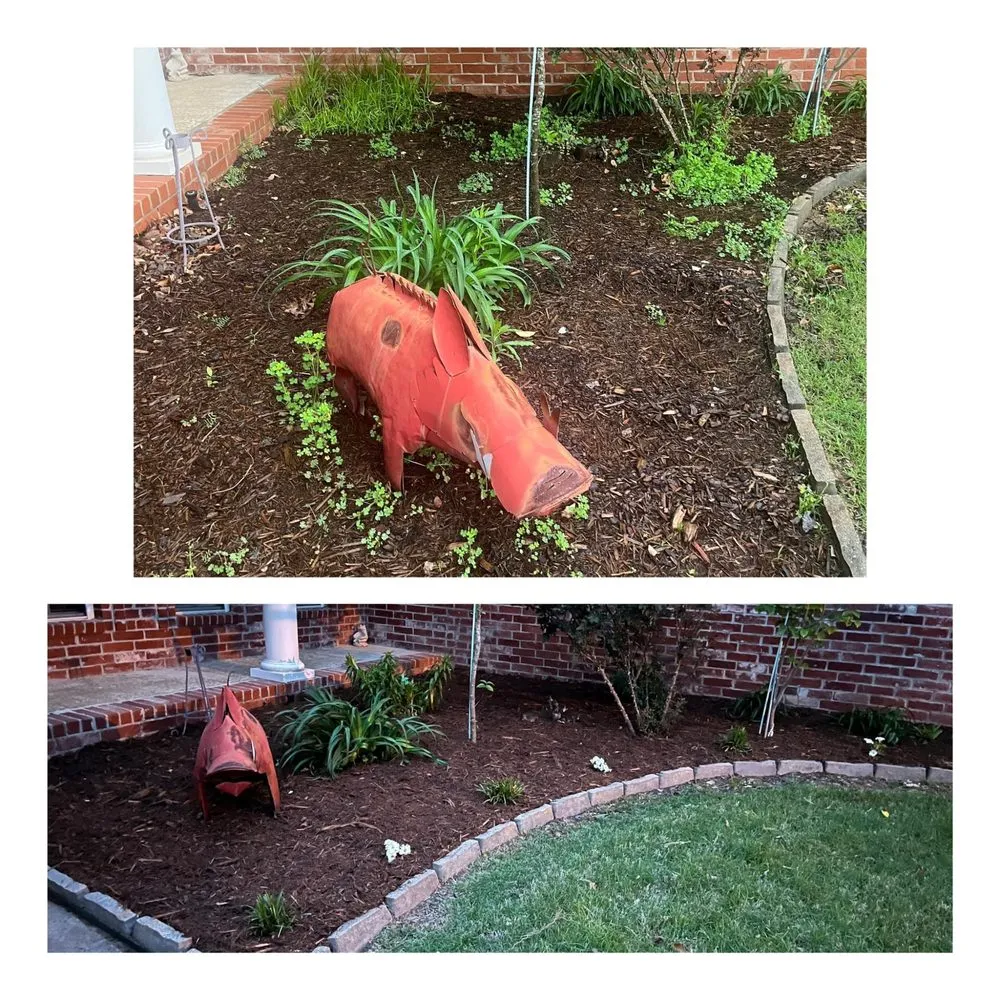 Professional yard cleanup service experts serving Jacksonville, AR - A&K Quality Services