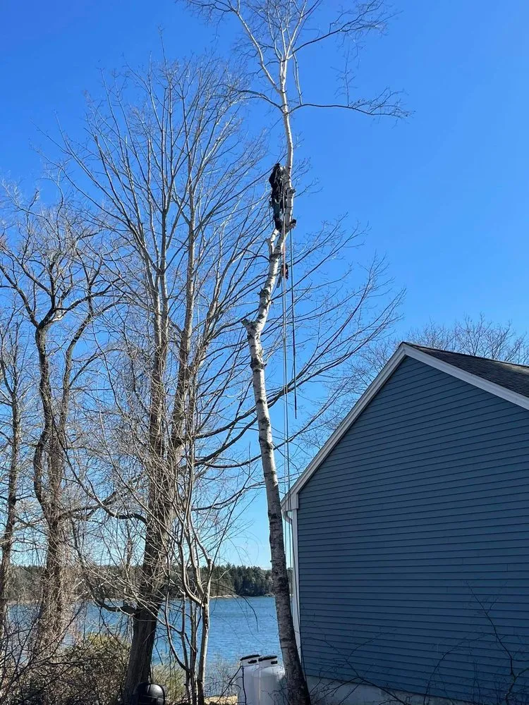 Trusted landscape design experts serving Bowdoinham, ME - A.K. Tree & Landscape