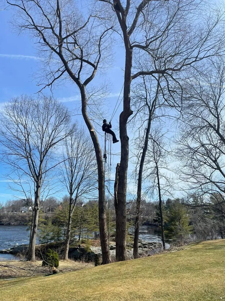 Top-rated yard maintenance experts serving Bowdoinham, ME - A.K. Tree & Landscape