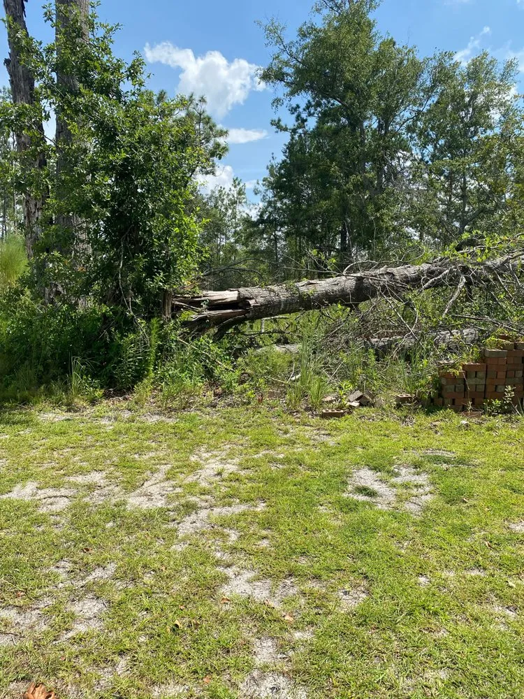 Trusted lawn mowing service in Covington, GA by AK Tree Service & Landscaping