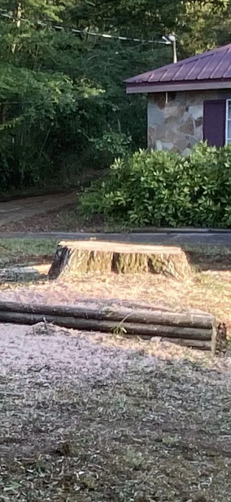 Reliable outdoor landscaping in Covington, GA - AK Tree Service & Landscaping