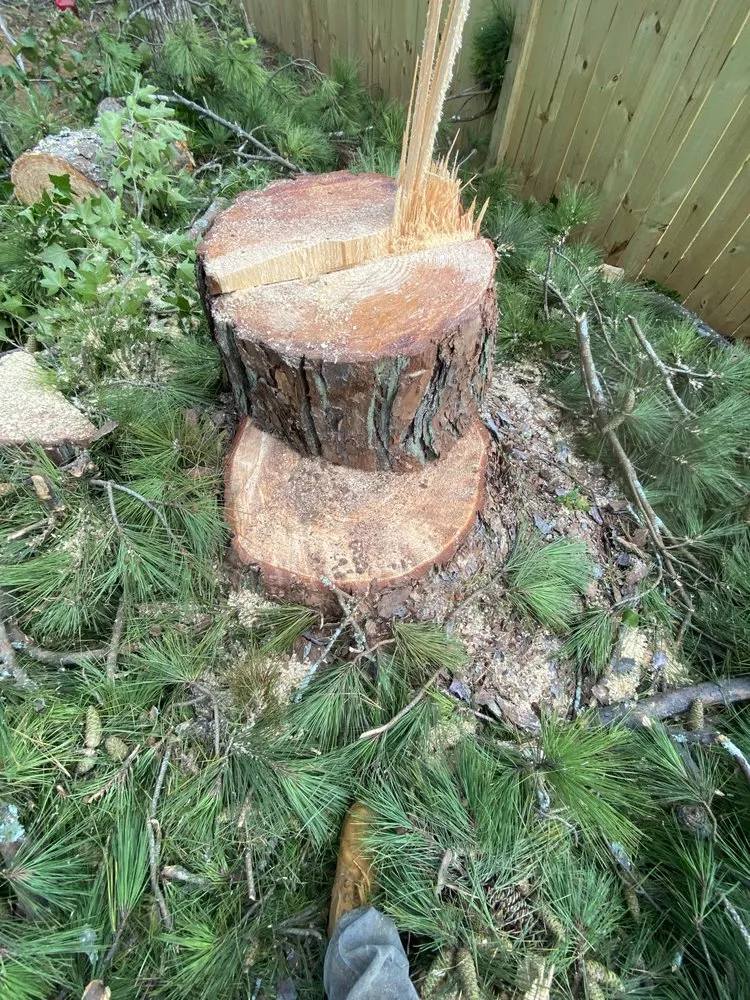 Expert residential landscaping in Covington, GA by AK Tree Service & Landscaping