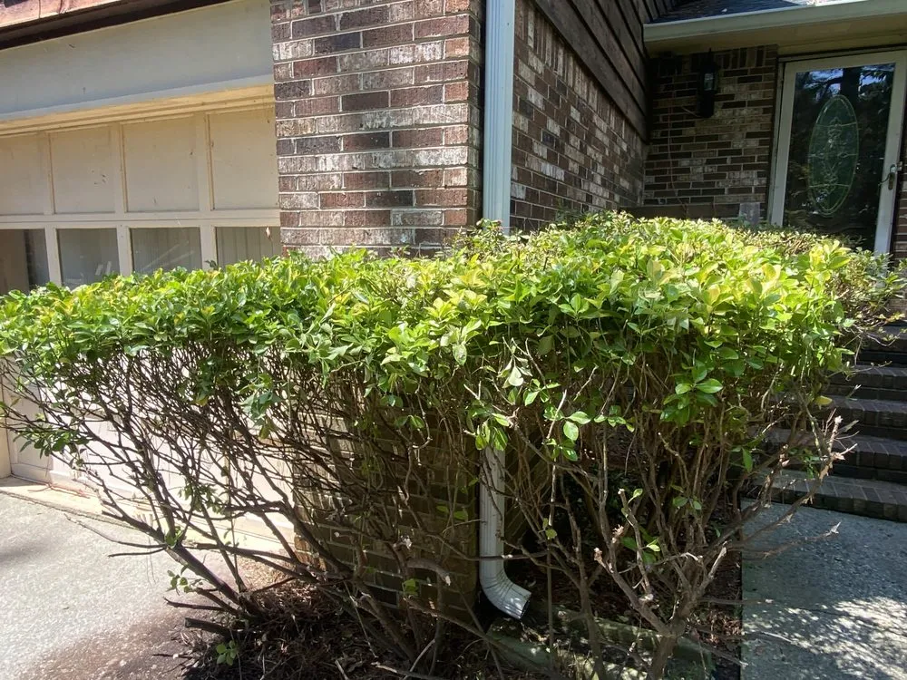 Affordable garden landscaping in Covington, GA by AK Tree Service & Landscaping