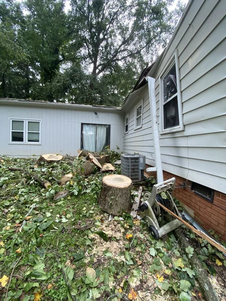 Expert outdoor landscaping for beautiful yards across Covington, GA - AK Tree Service & Landscaping