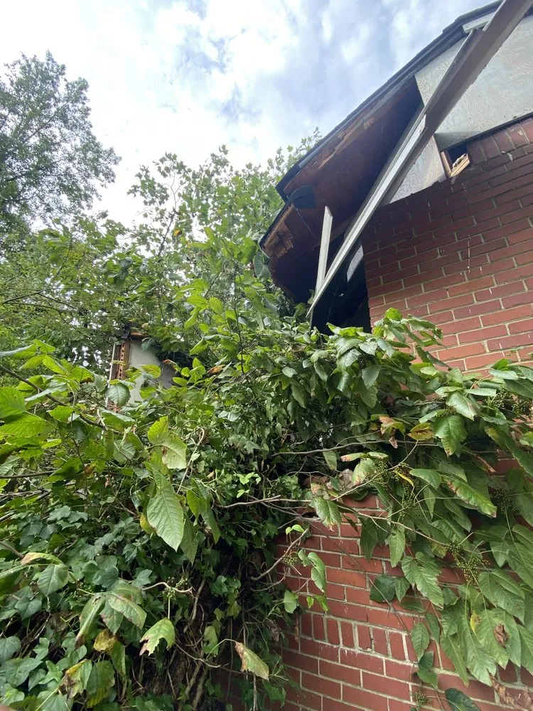 Expert landscaping services experts serving Covington, GA - AK Tree Service & Landscaping