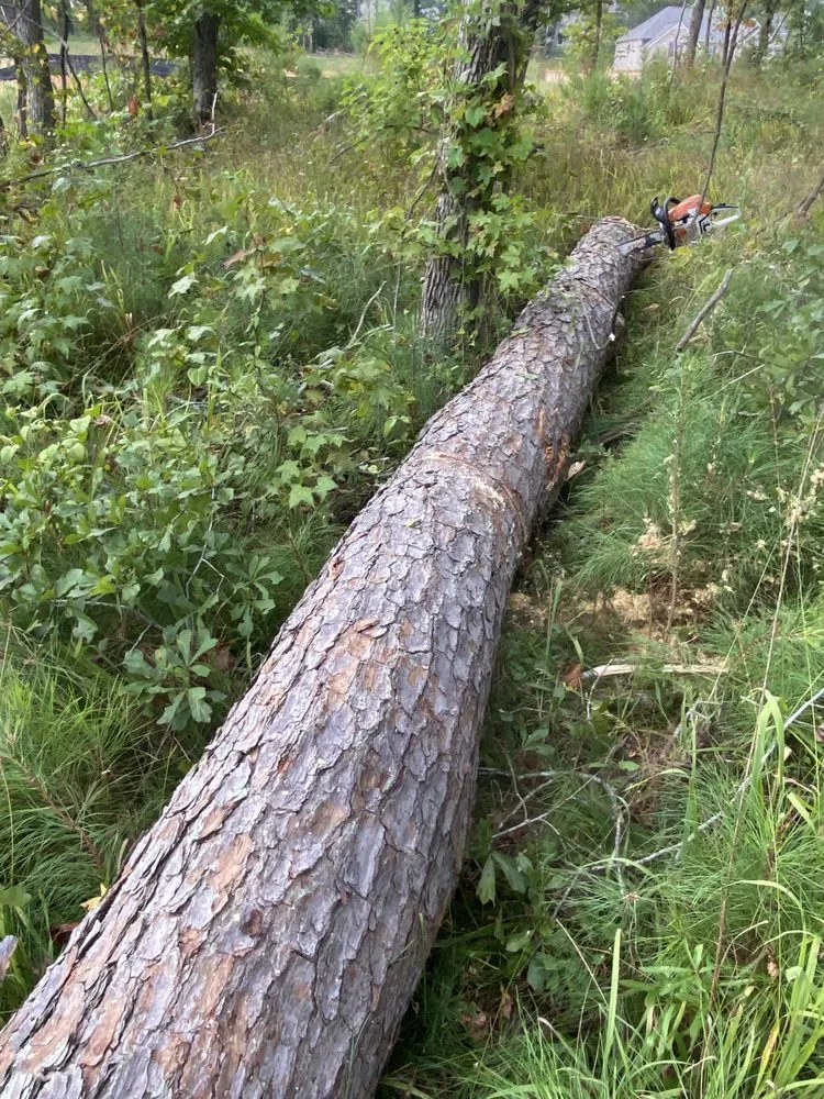 Affordable outdoor landscaping in Covington, GA by AK Tree Service & Landscaping