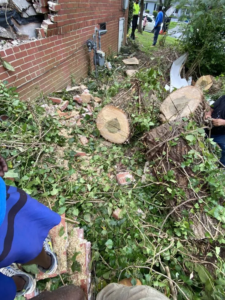 Reliable lawn care service for beautiful yards in Covington, GA by AK Tree Service & Landscaping