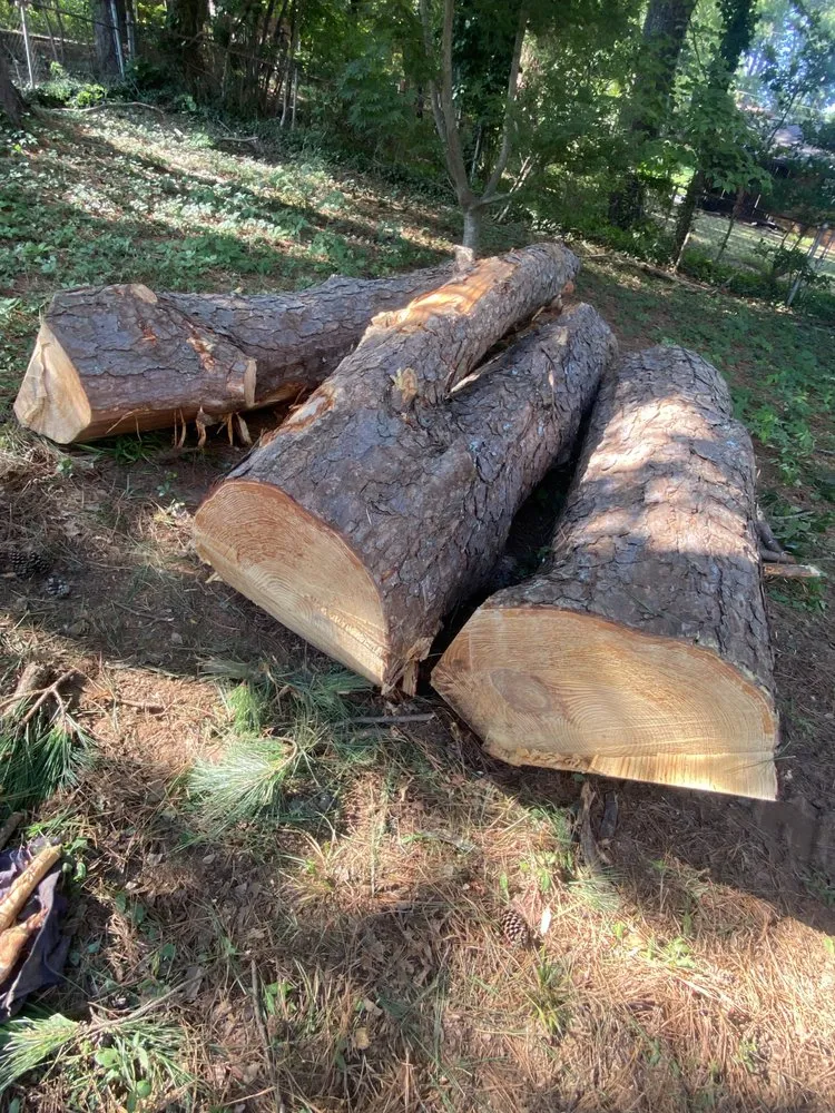 Local garden landscaping in Covington, GA by AK Tree Service & Landscaping