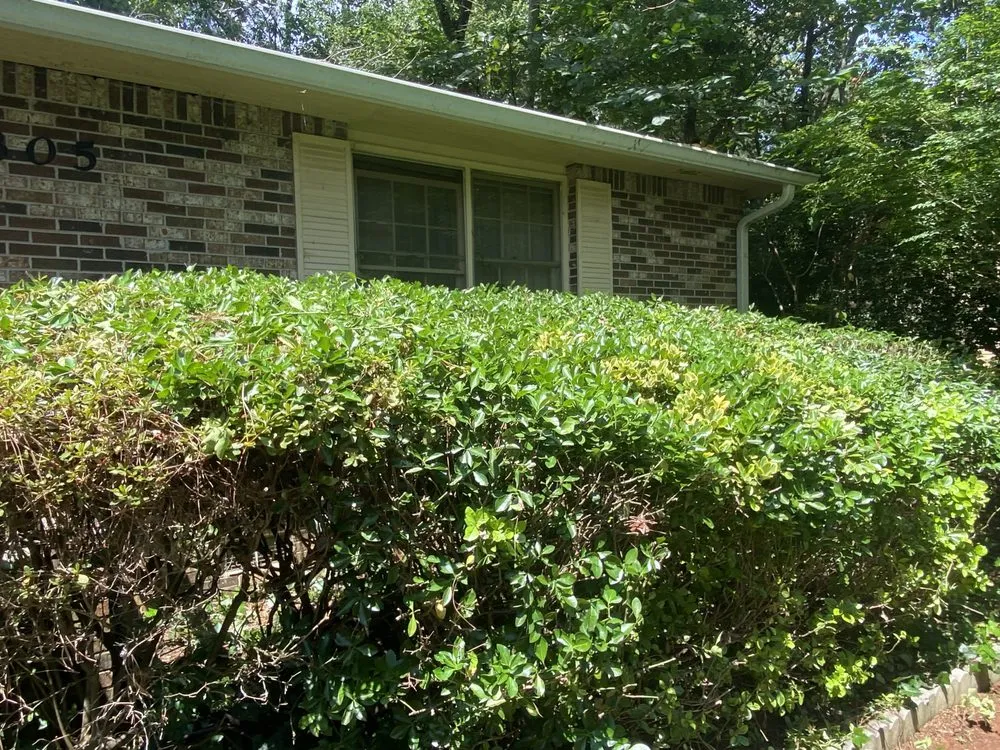 Expert residential landscaping for outdoor upgrades in Covington, GA by AK Tree Service & Landscaping