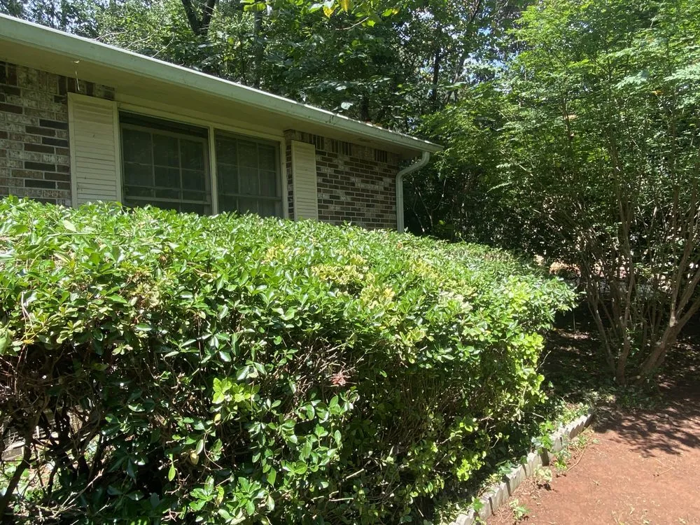 Expert lawn mowing service in Covington, GA by AK Tree Service & Landscaping