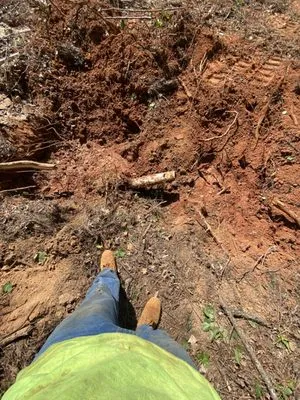 AK Tree Service & Landscaping Logo