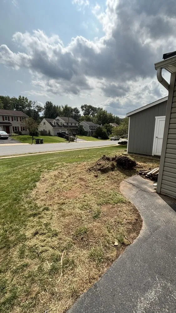 Expert yard cleanup service for year-round maintenance in West Lawn, PA by AKA Lawn Care & Design