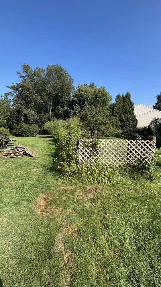 Reliable residential landscaping in West Lawn, PA by AKA Lawn Care & Design