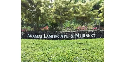 Local yard maintenance experts serving Waimanalo, HI - Akamai Landscape & Maintenance Service