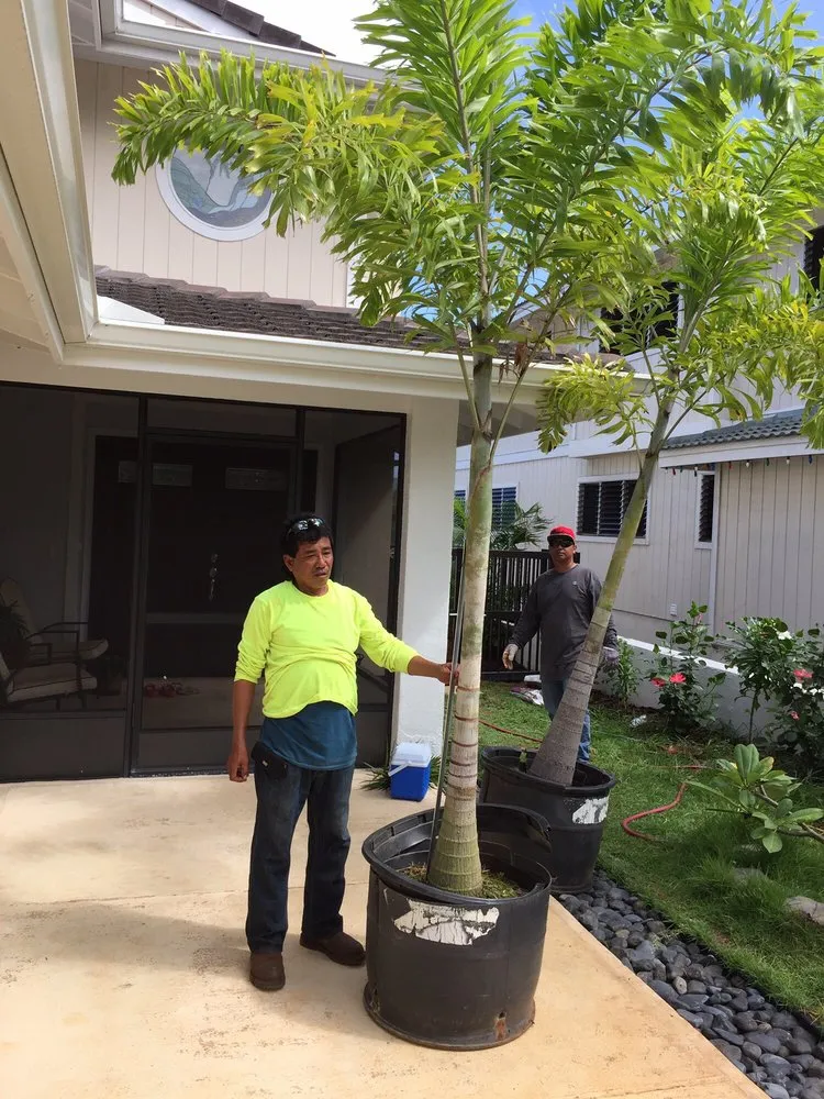Affordable lawn mowing service for outdoor upgrades in Waimanalo, HI by Akamai Landscape & Maintenance Service