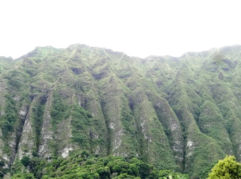 Trusted landscaping services experts serving Waimanalo, HI - Akamai Landscape & Maintenance Service