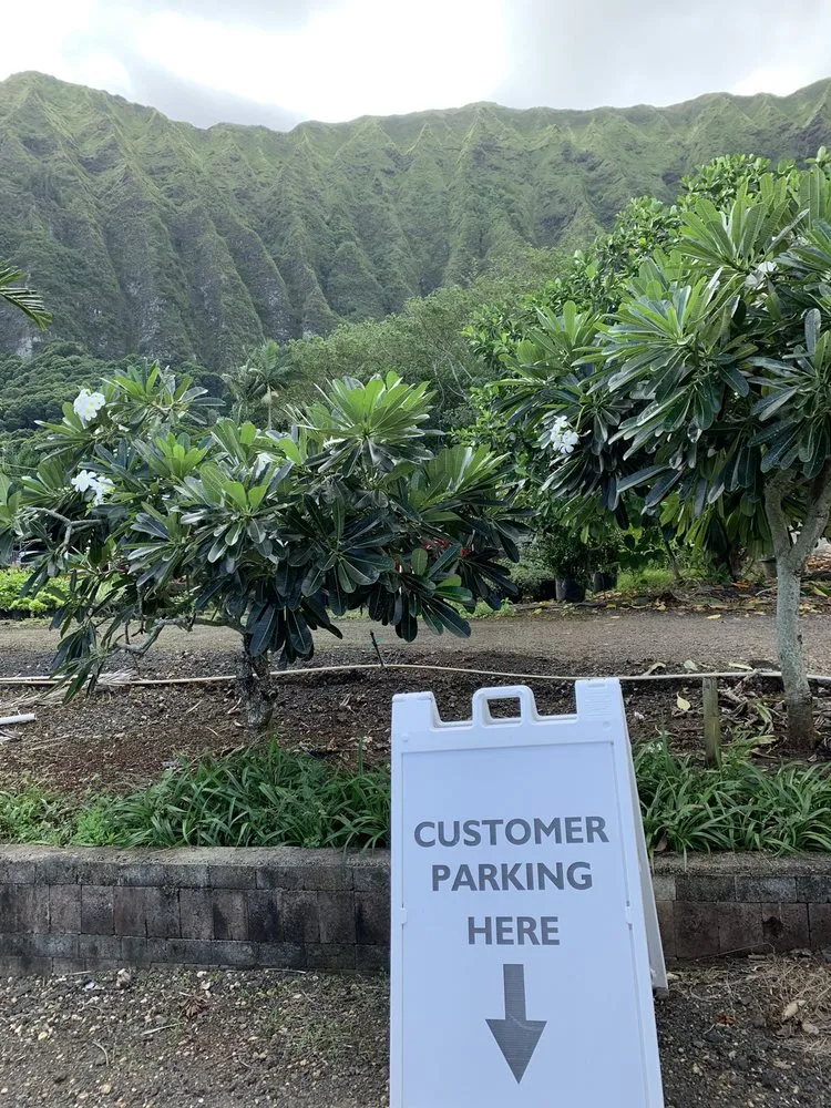 Professional garden landscaping for outdoor upgrades across Waimanalo, HI - Akamai Landscape & Maintenance Service