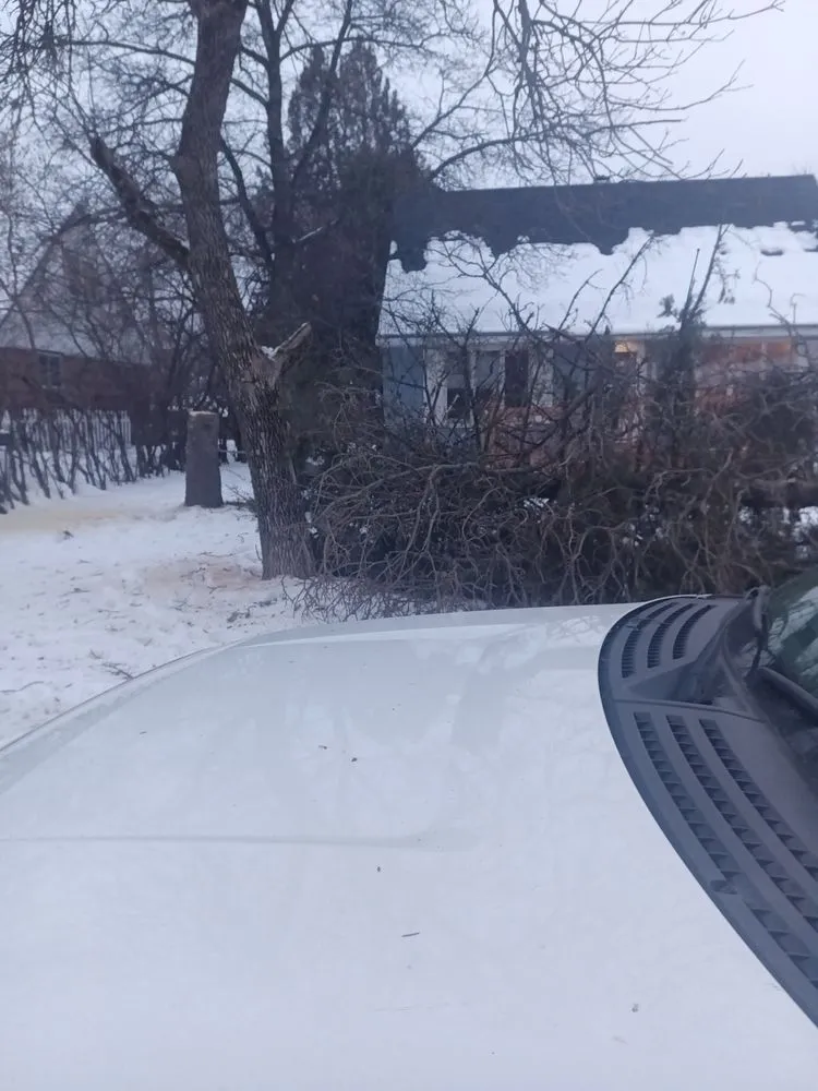 Local landscaping services experts serving Gilbert, MN - AKC Hazardous Tree & Limb Removal