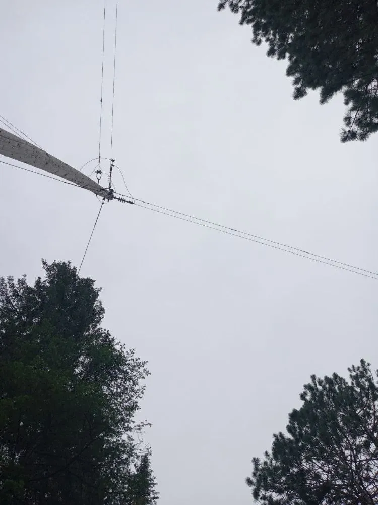 Trusted yard cleanup service with custom design in Gilbert, MN by AKC Hazardous Tree & Limb Removal