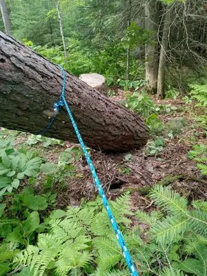 AKC Hazardous Tree & Limb Removal