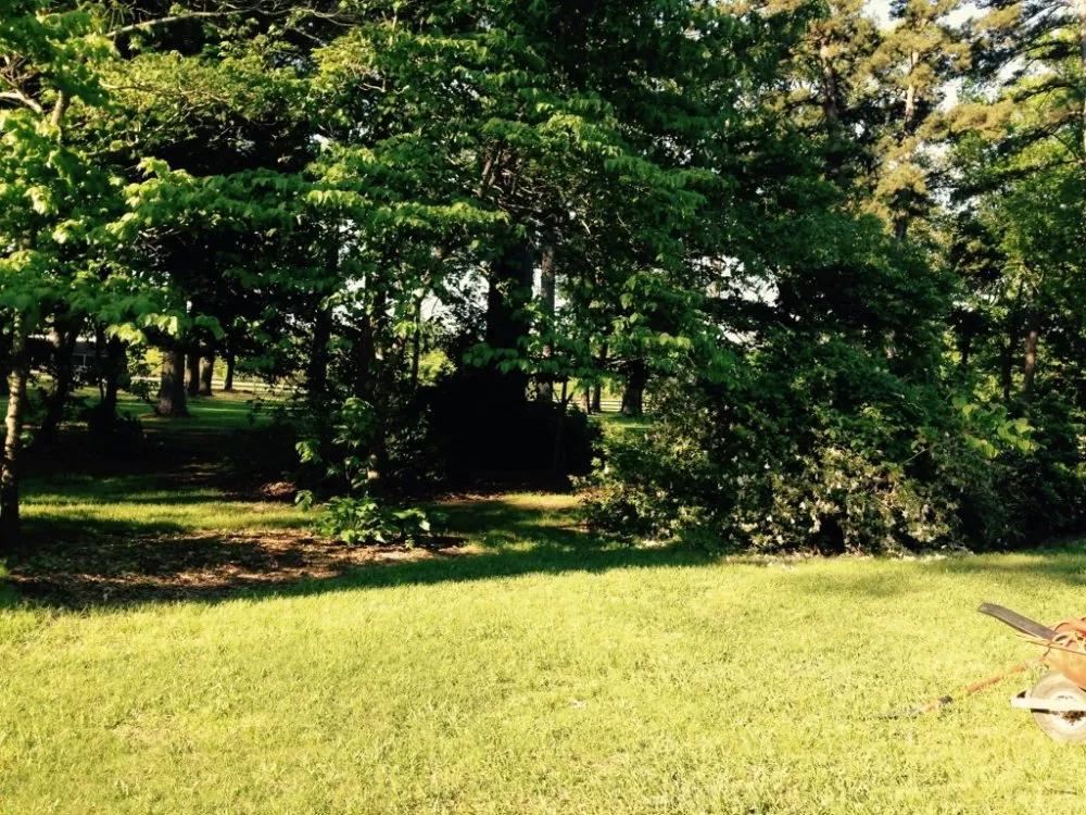 Trusted garden landscaping for homes in Bossier City, LA by AKC Lawn Service
