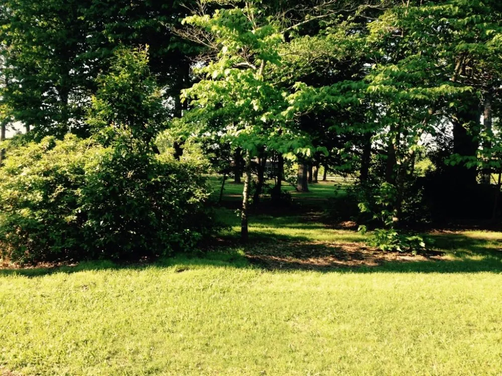 Professional outdoor landscaping with custom design in Bossier City, LA by AKC Lawn Service