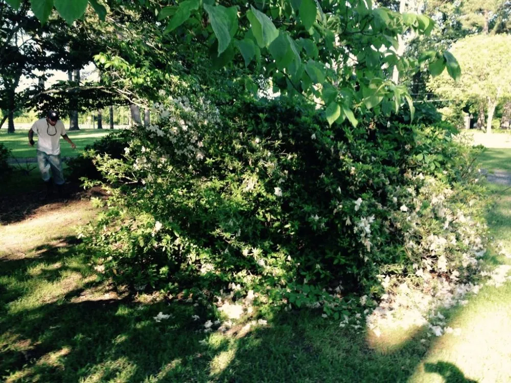 Reliable yard maintenance in Bossier City, LA by AKC Lawn Service