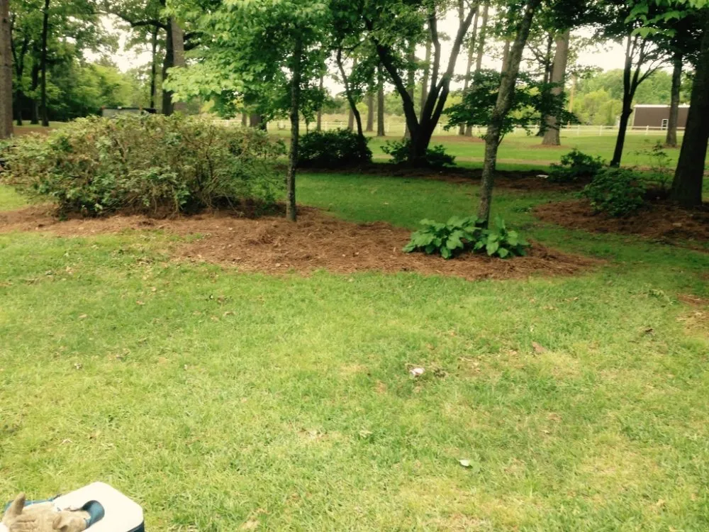 Local outdoor landscaping for outdoor upgrades in Bossier City, LA by AKC Lawn Service