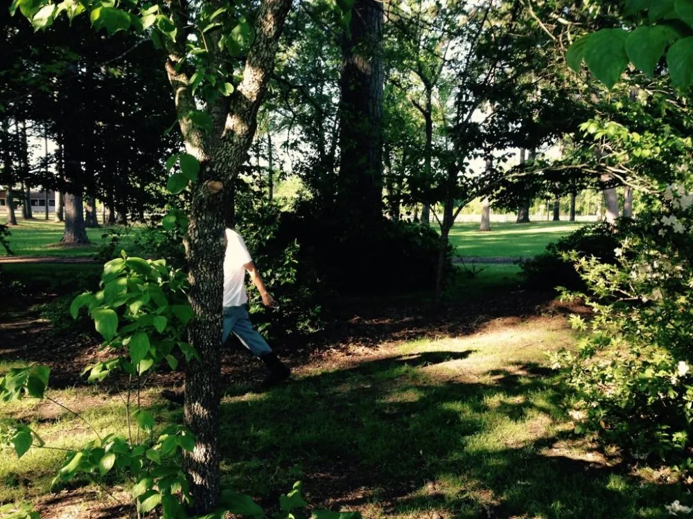 Affordable landscaping services in Bossier City, LA by AKC Lawn Service