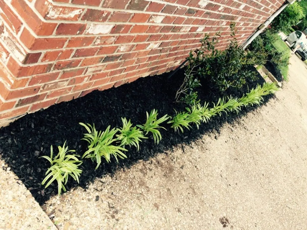 Local lawn care service experts serving Bossier City, LA - AKC Lawn Service