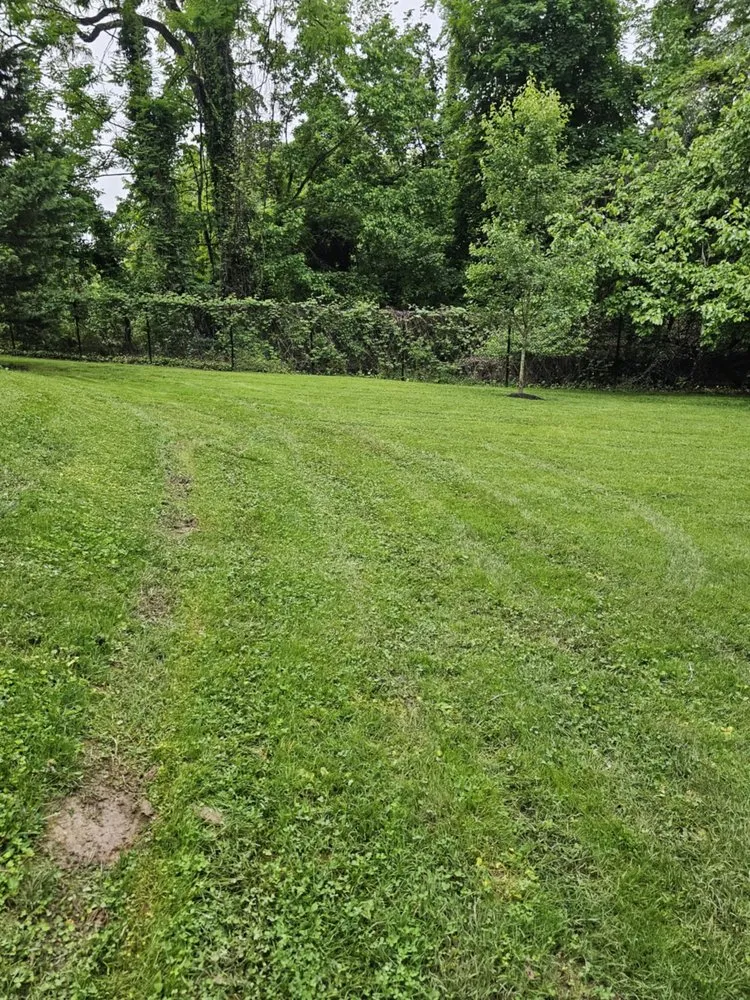 Local outdoor landscaping in Joppa, MD by Akehurst Landscape