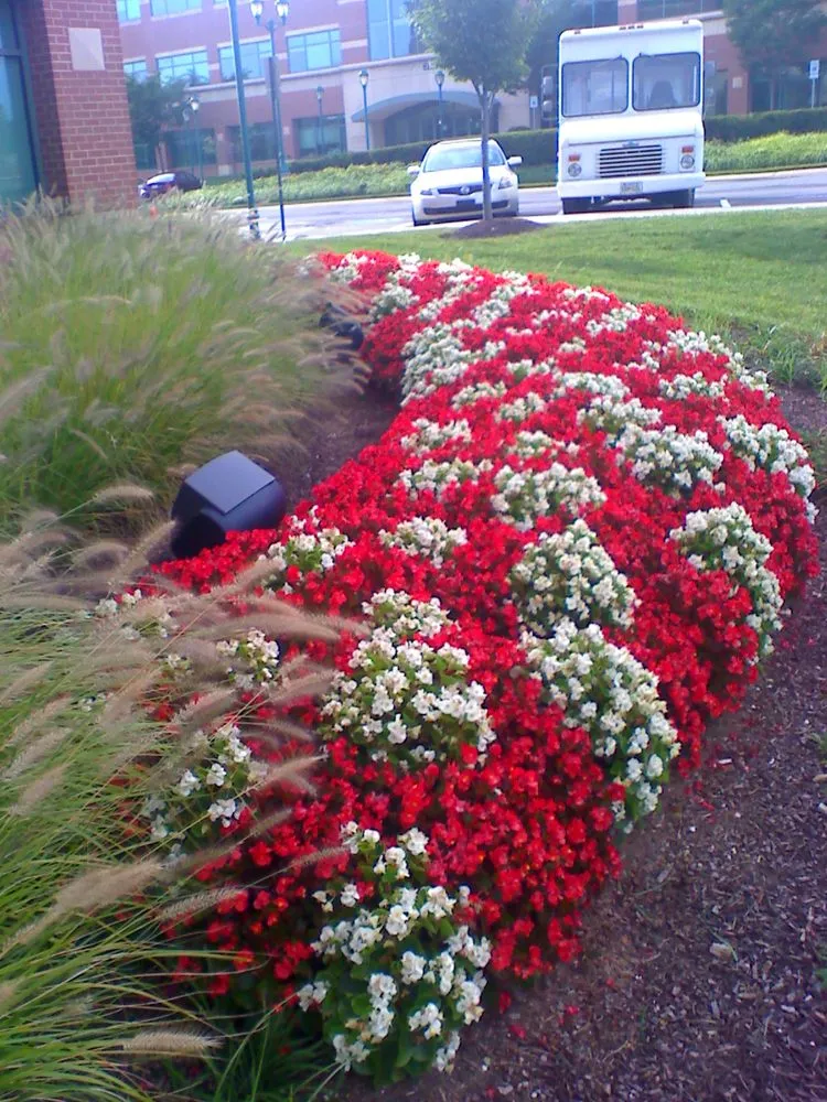 Top-rated residential landscaping for homes in Joppa, MD by Akehurst Landscape