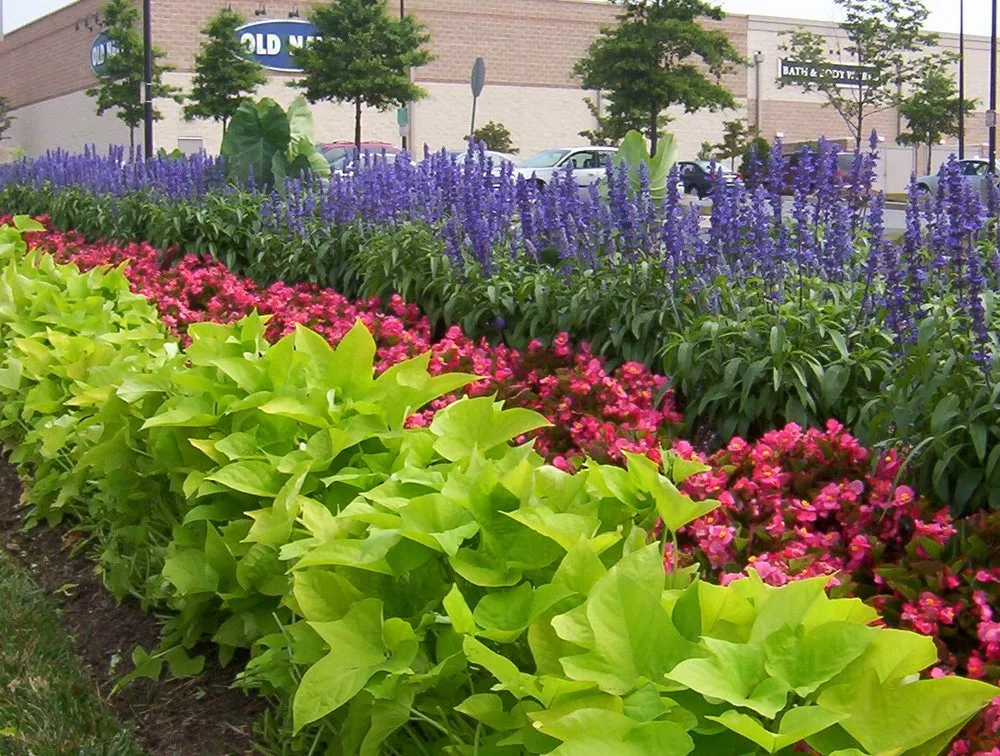 Affordable lawn care service experts serving Joppa, MD - Akehurst Landscape