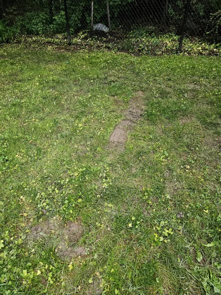 Affordable residential landscaping experts serving Joppa, MD - Akehurst Landscape