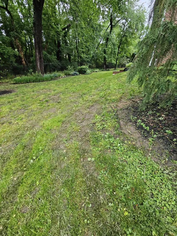 Top-rated yard maintenance in Joppa, MD by Akehurst Landscape
