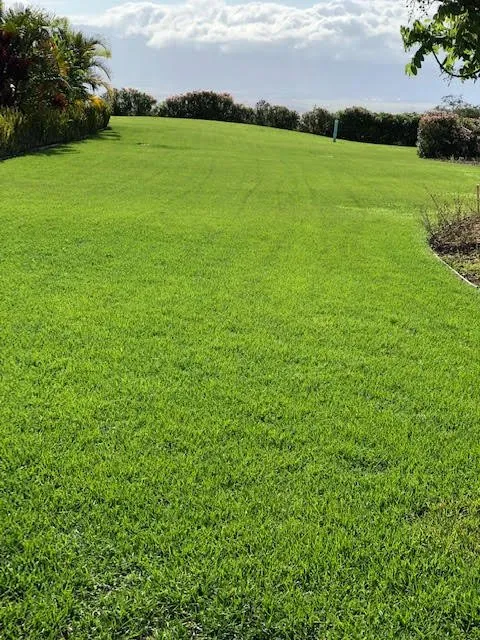 Custom garden landscaping in Kihei, HI by Akemi Landscaping