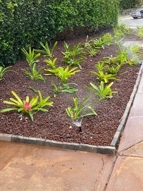 Local residential landscaping in Kihei, HI by Akemi Landscaping