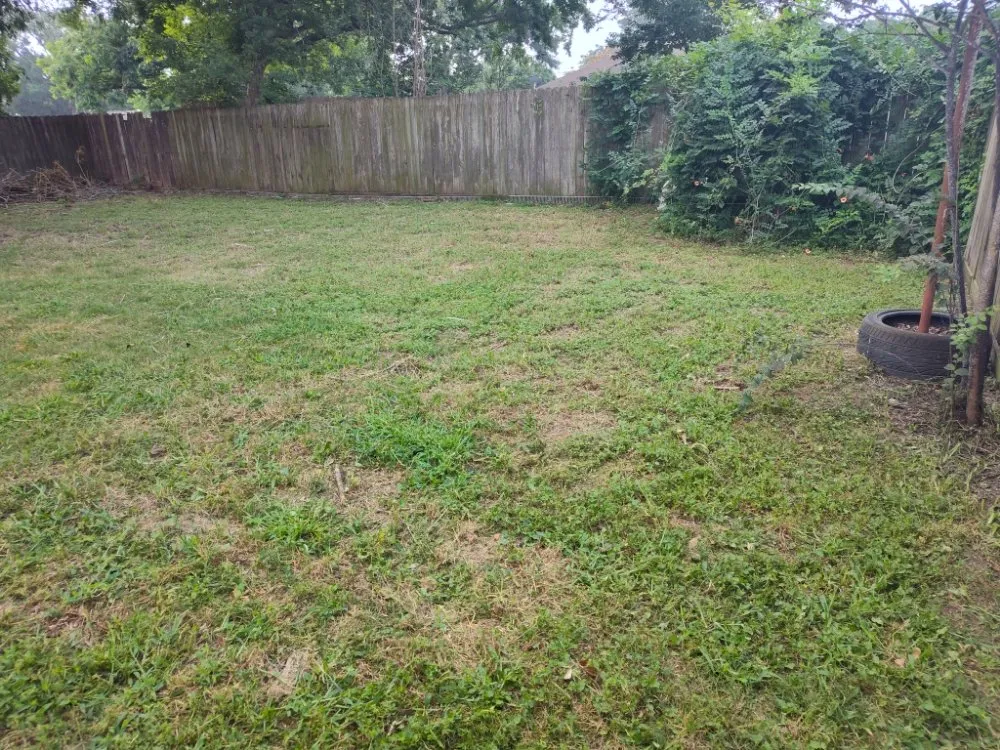 Professional yard cleanup service in Magnolia, TX by AKG landscaping