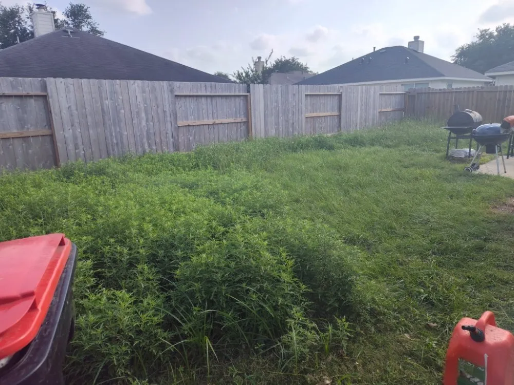 Reliable landscaping services in Magnolia, TX by AKG landscaping