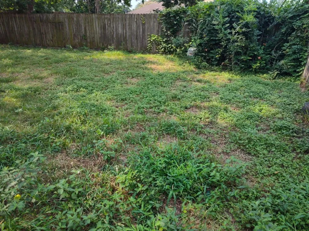 Local landscape installation for homes in Magnolia, TX by AKG landscaping