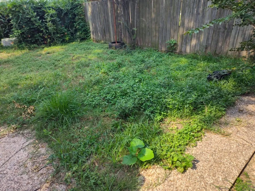 Top-rated garden landscaping in Magnolia, TX by AKG landscaping