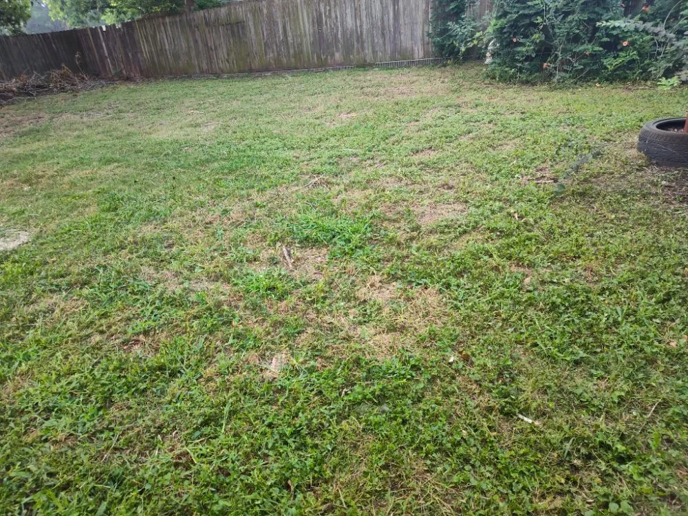 Expert landscape installation experts serving Magnolia, TX - AKG landscaping